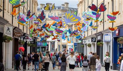 Southgate butterflies