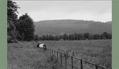 Black and White photograph of a person leaning over a rural fence in an open field, with trees and rolling hills in the background