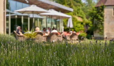 Walled Garden Terrace with people dining