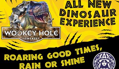 Poster for the event