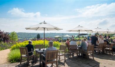 People sitting on the terrace at the American Museum & Gardens near Bath