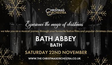 The Christmas Orchestra - Experience the magic of christmas as we take you on a musical journey through your favourite festive films and popular chris
