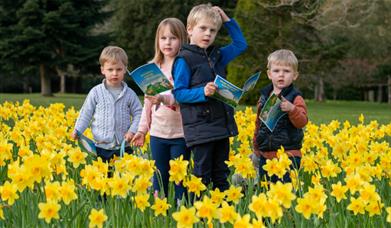 Children playing in daffodils to advertise Bowood's Spring Adventure 