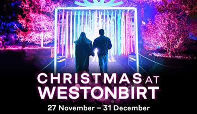 family watch colourful light display at night 