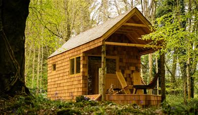 A cabin in the middle of woodland at Campwell Farm near Bath