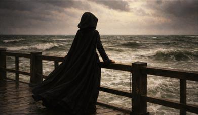 silhouette of woman by sea