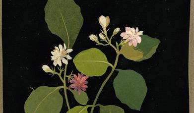 Image of botanical collage