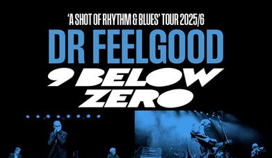 Blue tinged poster of Dr Feelgood