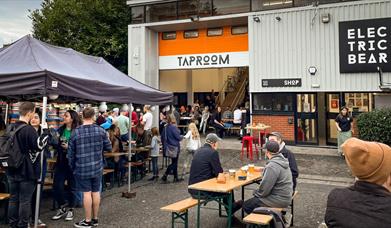 Electric Bear Brewing Co. Taproom
