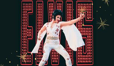 Elvis Lesley's Jingle Bell Bingo Bash poster