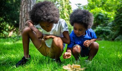 two children crouch down to look at brown fungi growing on green grass