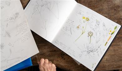 artist draws yellow and green plant illustration on white paper 