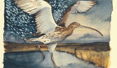 Curlew 3, The Lost Spells c. Jackie Morris