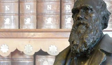 A metal bust of Charles Darwin