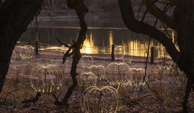 The Light that Lasts Exhibition