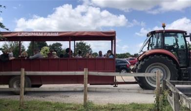 Tractor rides