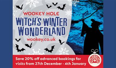 Witch's Winter Wonderland
