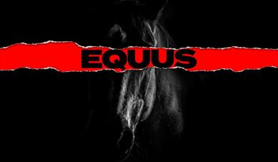 Equus poster