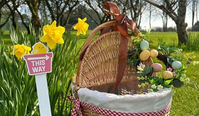 Easter Egg Hunt
