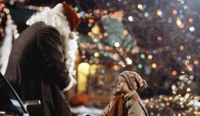 Dog-Friendly Screening: Home Alone
