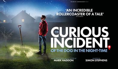 The Curious Incident of the Dog in the Night-Time