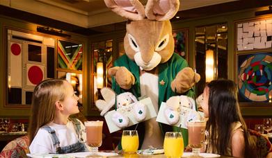 Breakfast with The Ivy Bunny
