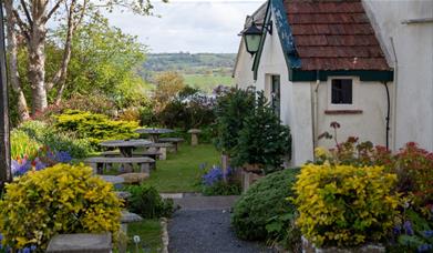 The New Inn
