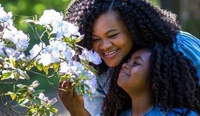 woman and young girl leaning to smell flowers on tree