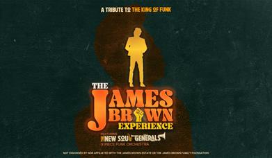 James Brown Experience