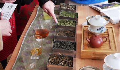 Tea at Museum of East Asian Art