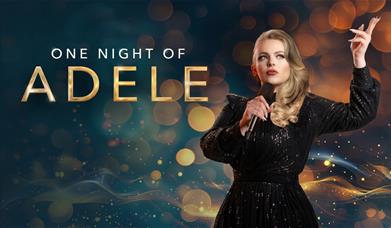 A photo of Naomi Johnson dressed in an Adele inspired dress 