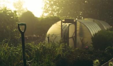 a garden shovel in the foreground and a greenhouse in the background