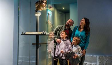 family by the head of Minerva