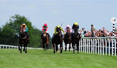 Bath Racecourse