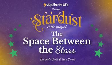 Stardust & The Space Between the Stars