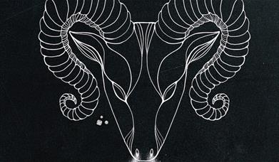 A photo of a ram, reflecting the star sign. 