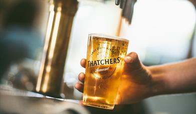 Thatchers Cider