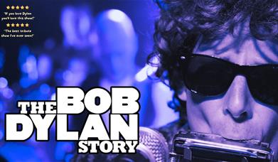 The Bob Dylan Story