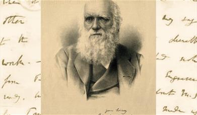 Sepia Darwin and writing