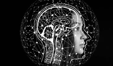 sideview of head showing brain