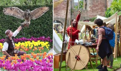 man catching a falcon on his arm