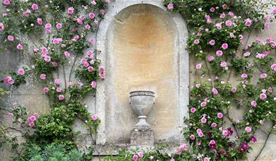 Roses in the South Gardens