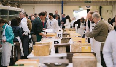 A group of table walking around tables laden with wheels of cheese