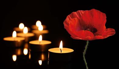 Photo of a poppy and candles on black background