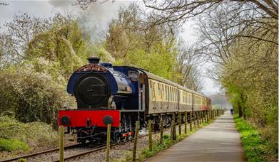 A blue engine can be seen chugging alongside the cycle path, surrounded by trees.