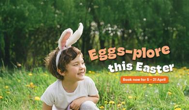 boy wearing bunny ear headband sitting in grass