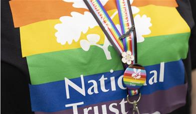 A black T-shirt with the LGBTQ+ colours across the front with National Trust logo on and a lanyard over the top.