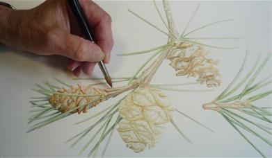 hand drawing a painting of a tree leaf