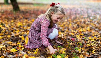 young child reaching down to pick up autumn leaves