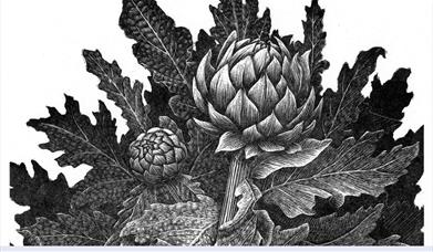 Geri Waddington – Against the Grain
